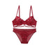 CONTEMPORARY EMBROIDERED SET by santrea lingerie